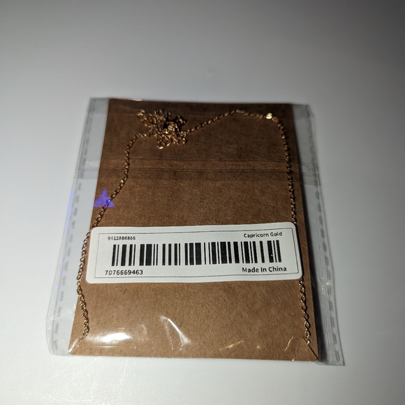 Zodiac Capricorn Sign Fashion Necklace - Picture 6 of 8